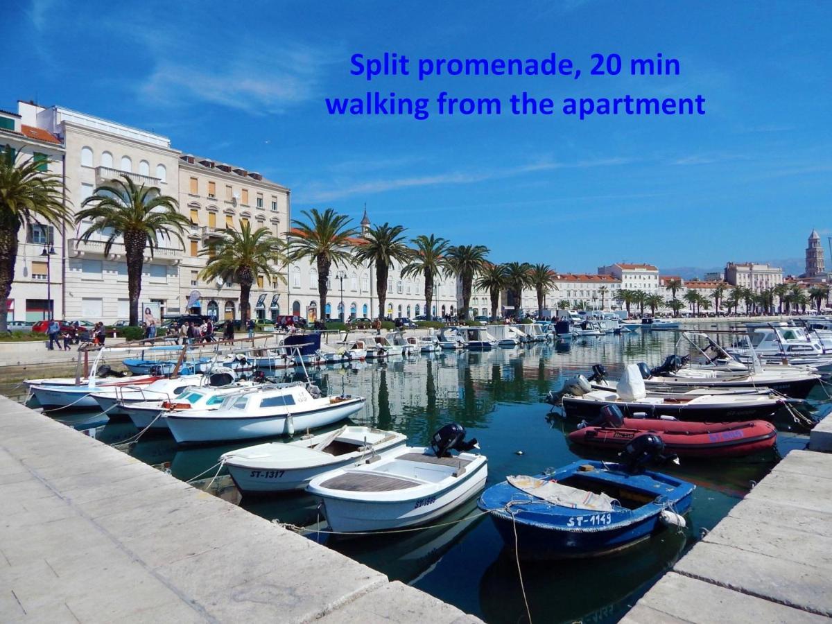Zenta Apartment